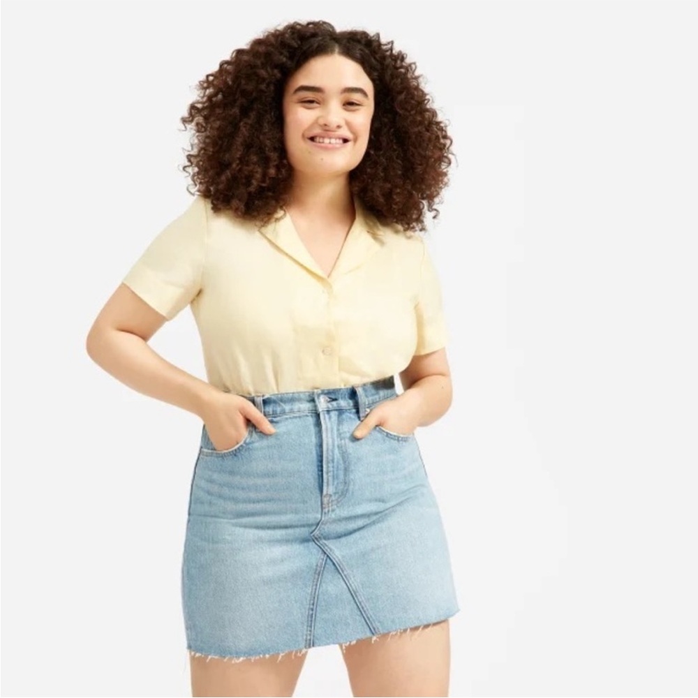 Everlane The Reconstructed Denim Skirt